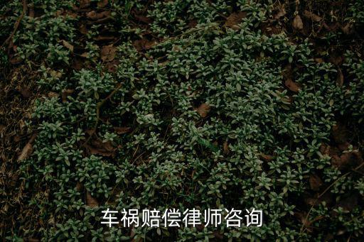 車禍賠償律師咨詢