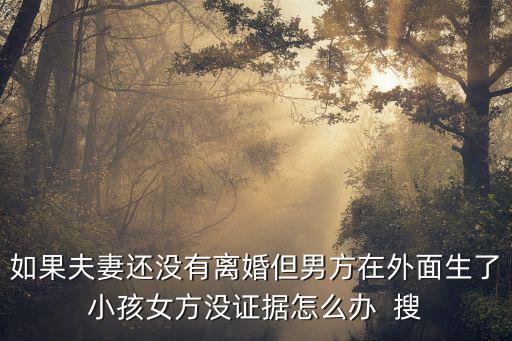 如果夫妻還沒(méi)有離婚但男方在外面生了小孩女方?jīng)]證據(jù)怎么辦  搜