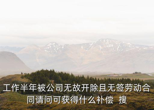 工作半年被公司無故開除且無簽勞動(dòng)合同請(qǐng)問可獲得什么補(bǔ)償  搜