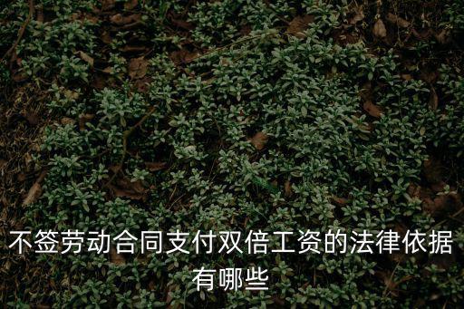 不簽勞動(dòng)合同支付雙倍工資的法律依據(jù)有哪些
