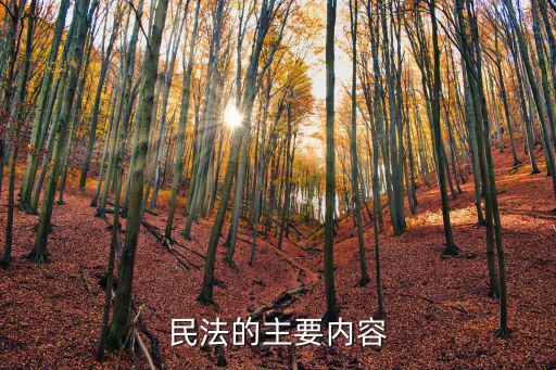 民法的主要內(nèi)容