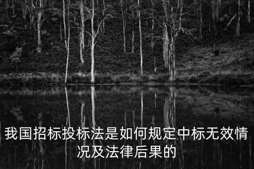 我國招標(biāo)投標(biāo)法是如何規(guī)定中標(biāo)無效情況及法律后果的