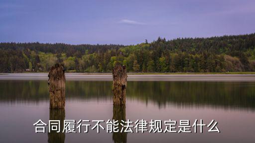 合同履行不能法律規(guī)定是什么