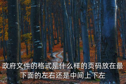 政府令格式要求，政府標準的文件格式