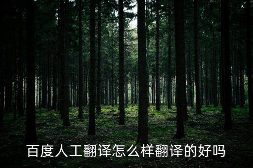 百度人工翻譯怎么樣翻譯的好嗎