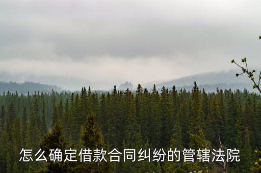 借款合同糾紛的管轄權，借款合同管轄地