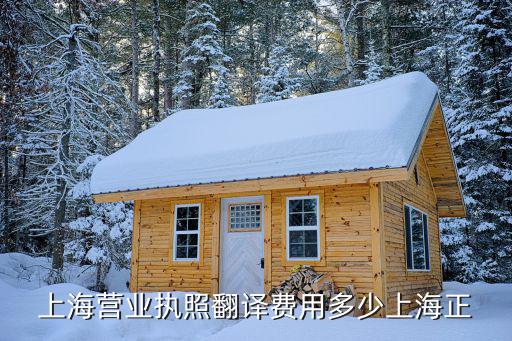 上海營業(yè)執(zhí)照翻譯費(fèi)用多少上海正