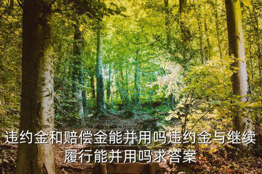 民法典關(guān)于違約金與賠償金，賠償金違約金定金三者在法律適用上的關(guān)系