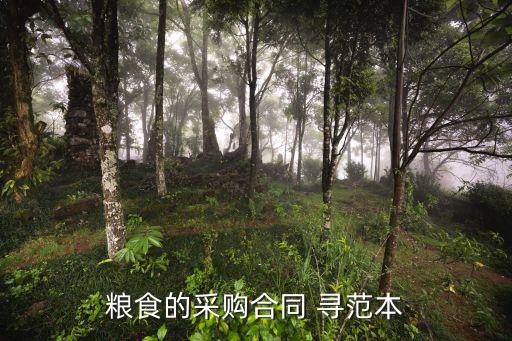 采購合同范本電子版，糧食的采購合同 尋范本