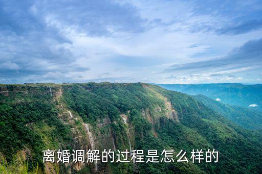 離婚調(diào)解的過(guò)程是怎么樣的