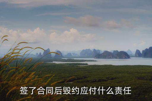 簽了合同后毀約應(yīng)付什么責(zé)任
