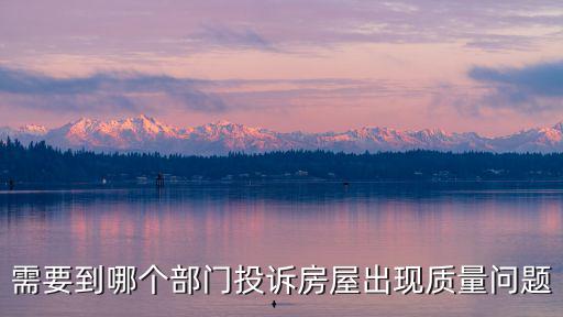開發(fā)商房屋質(zhì)量有問題怎么起訴，需要到哪個部門投訴房屋出現(xiàn)質(zhì)量問題