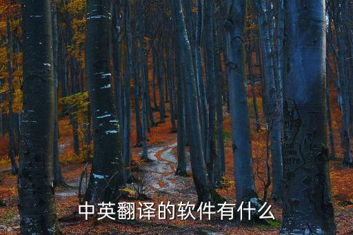 中英互譯翻譯器百度，中英翻譯軟件