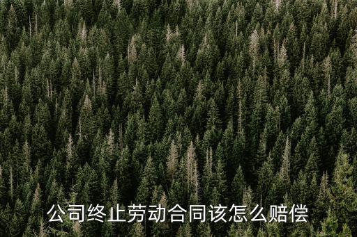 單位終止勞動(dòng)合同如何賠償，終止勞動(dòng)合同怎么補(bǔ)償