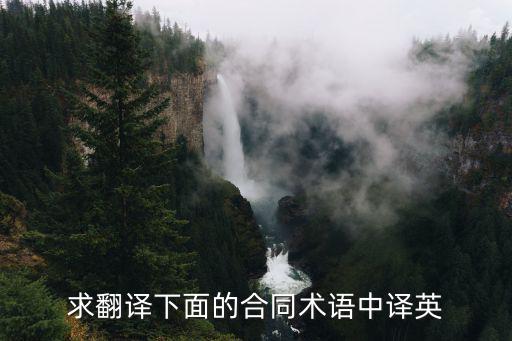 求翻譯下面的合同術語中譯英