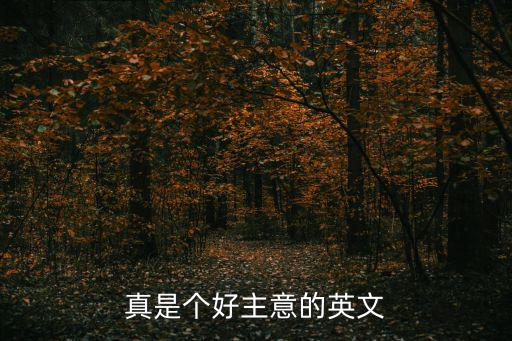 真是個(gè)好主意的英文