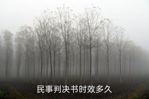 民事判決書時效多久