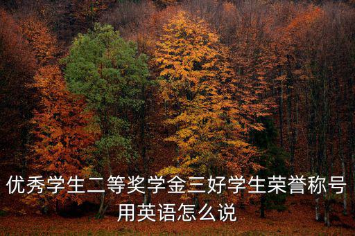 優(yōu)秀學(xué)生二等獎學(xué)金三好學(xué)生榮譽稱號用英語怎么說
