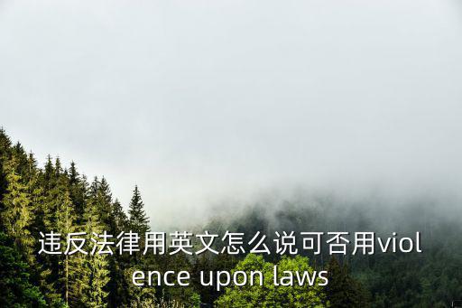 違反法律用英文怎么說(shuō)可否用violence upon laws