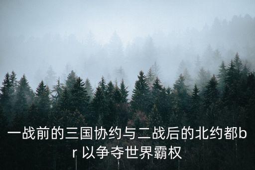 一戰(zhàn)前的三國協(xié)約與二戰(zhàn)后的北約都br 以爭(zhēng)奪世界霸權(quán)