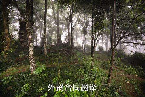 國際貿(mào)易合同中文，購買日本貨物的國際貿(mào)易合同是英文的還是中文的還是日文的