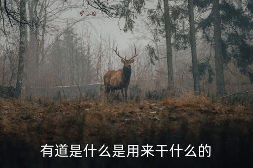 有道是什么是用來干什么的