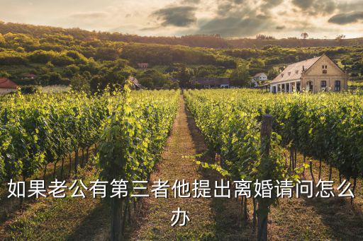如果老公有第三者他提出離婚請問怎么辦