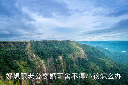 想和老公離婚又舍不得孩子怎么辦，我想和老公離婚可我又舍不得孩子我該怎么辦