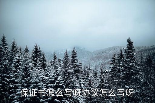 協(xié)議承諾書模板，保證書協(xié)議合同的有效格式
