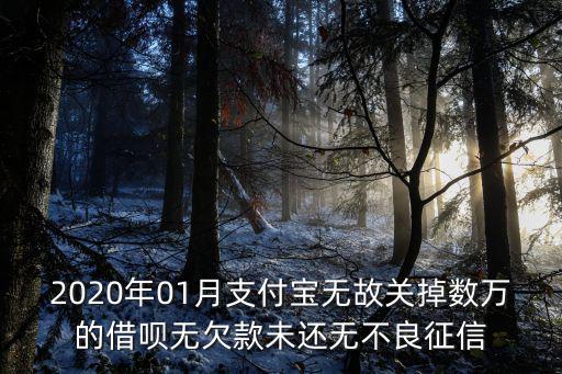 借唄80000逾期2年親身經(jīng)歷，2020年01月支付寶無故關(guān)掉數(shù)萬的借唄無欠款未還無不良征信