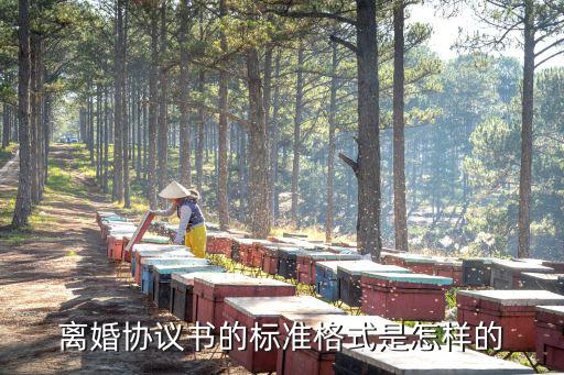 軍婚離婚協(xié)議書 模板 標準版，離婚協(xié)議書格式