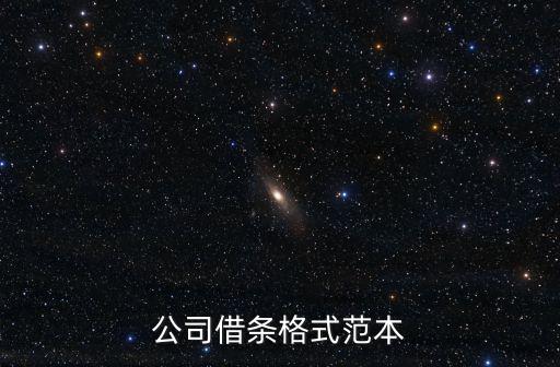 公司借條格式范本