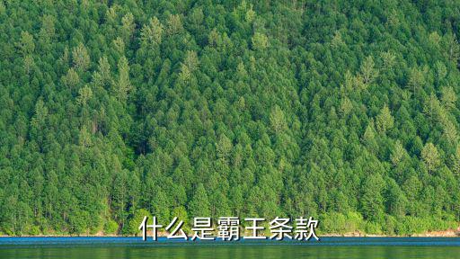 什么是霸王條款