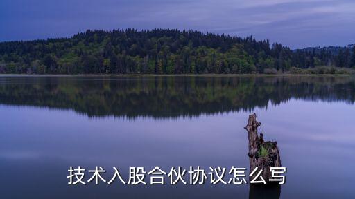 技術(shù)入股合伙協(xié)議怎么寫