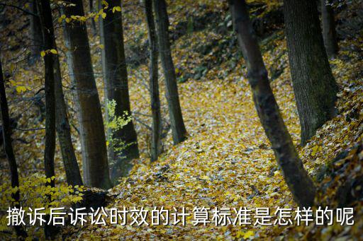 撤訴后訴訟時(shí)效的計(jì)算標(biāo)準(zhǔn)是怎樣的呢