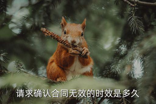 確認(rèn)合同無(wú)效的請(qǐng)求權(quán)基礎(chǔ)，如何確認(rèn)合同無(wú)效