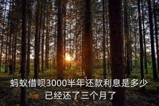 借唄3000逾期半年多，螞蟻花唄逾期3000半年了接到了昆吾事務(wù)所的律師電話說這兩天不還