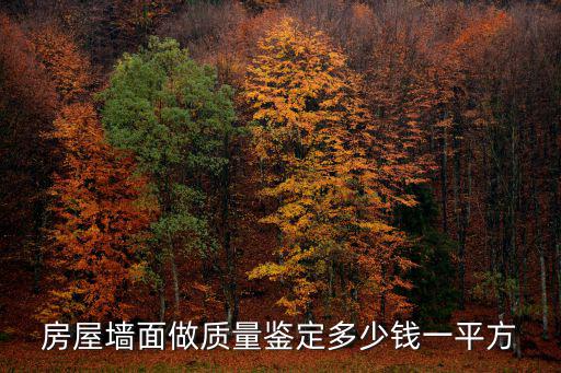 房屋鑒定一般多少錢，房屋墻面做質(zhì)量鑒定多少錢一平方