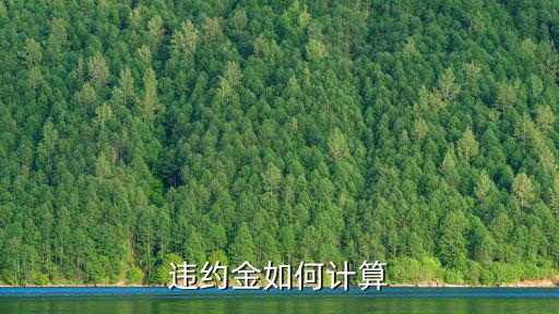 違約金如何計算