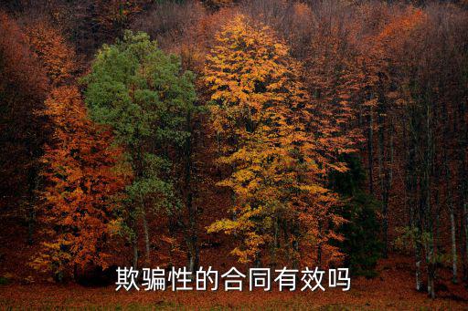 欺騙性的合同有效嗎