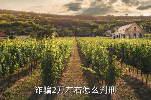 詐騙2萬左右怎么判刑
