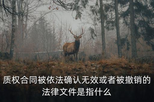 合同法規(guī)定被依法撤銷的合同，質(zhì)權合同被依法確認無效或者被撤銷的法律文件是指什么