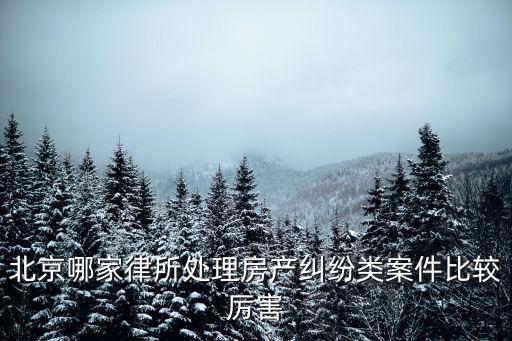 北京哪家律所處理房產(chǎn)糾紛類案件比較厲害