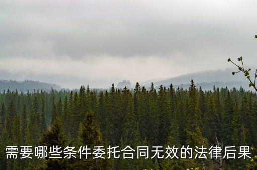 合同無效的法律后果有哪些民法典，合同不成立的法律后果有哪些