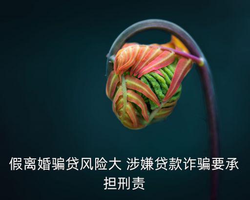 解除騙貸風險要錢嗎，假離婚騙貸風險大 涉嫌貸款詐騙要承擔刑責