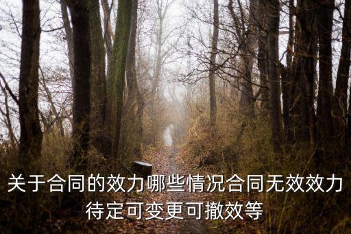 關(guān)于合同的效力哪些情況合同無效效力待定可變更可撤效等