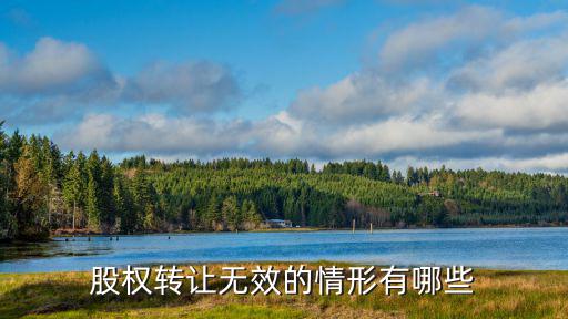 股權(quán)轉(zhuǎn)讓無(wú)效的情形有哪些