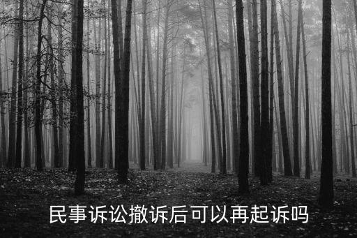 撤訴了還能重新起訴嗎，請問撤訴還能再上訴嗎