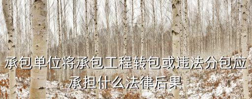 承包單位將承包工程轉(zhuǎn)包或違法分包應承擔什么法律后果