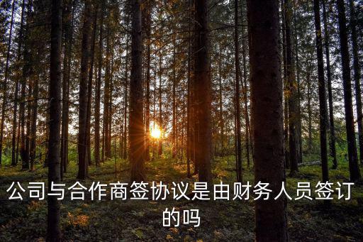 公司與合作商簽協(xié)議是由財務人員簽訂的嗎